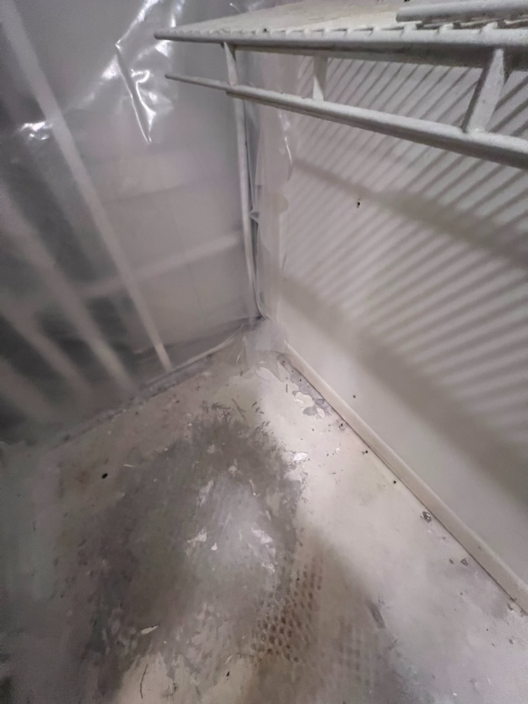 Close-up of dark mold staining and residue on the flooring and baseboard inside the previously remediated area