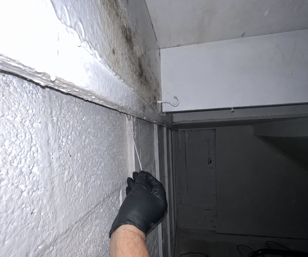 Surface sample being collected near visible mold growth at a wall and ceiling corner