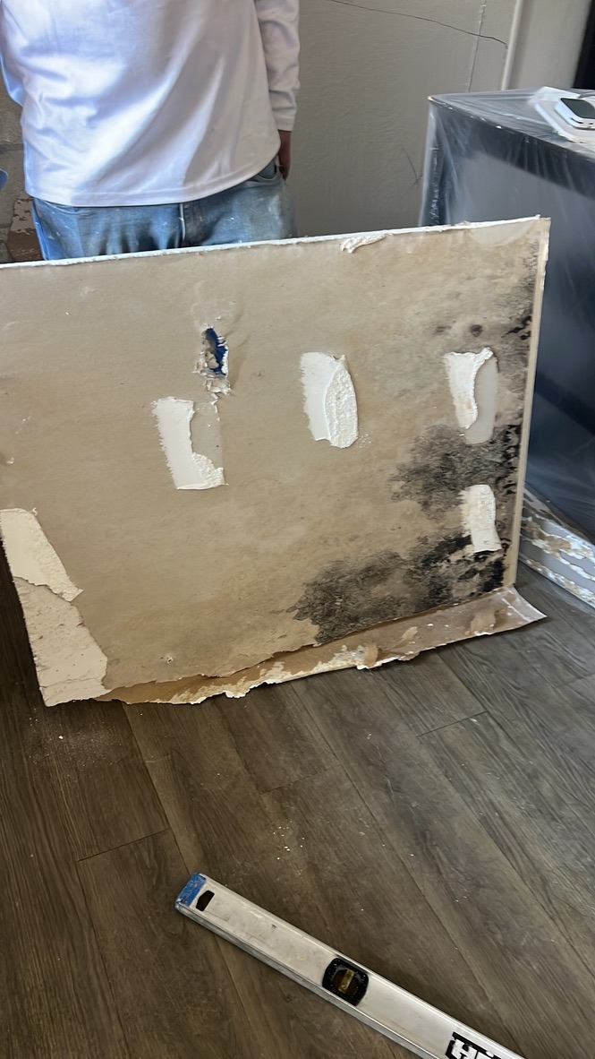 Section of drywall with visible mold growth removed from a hotel room wall