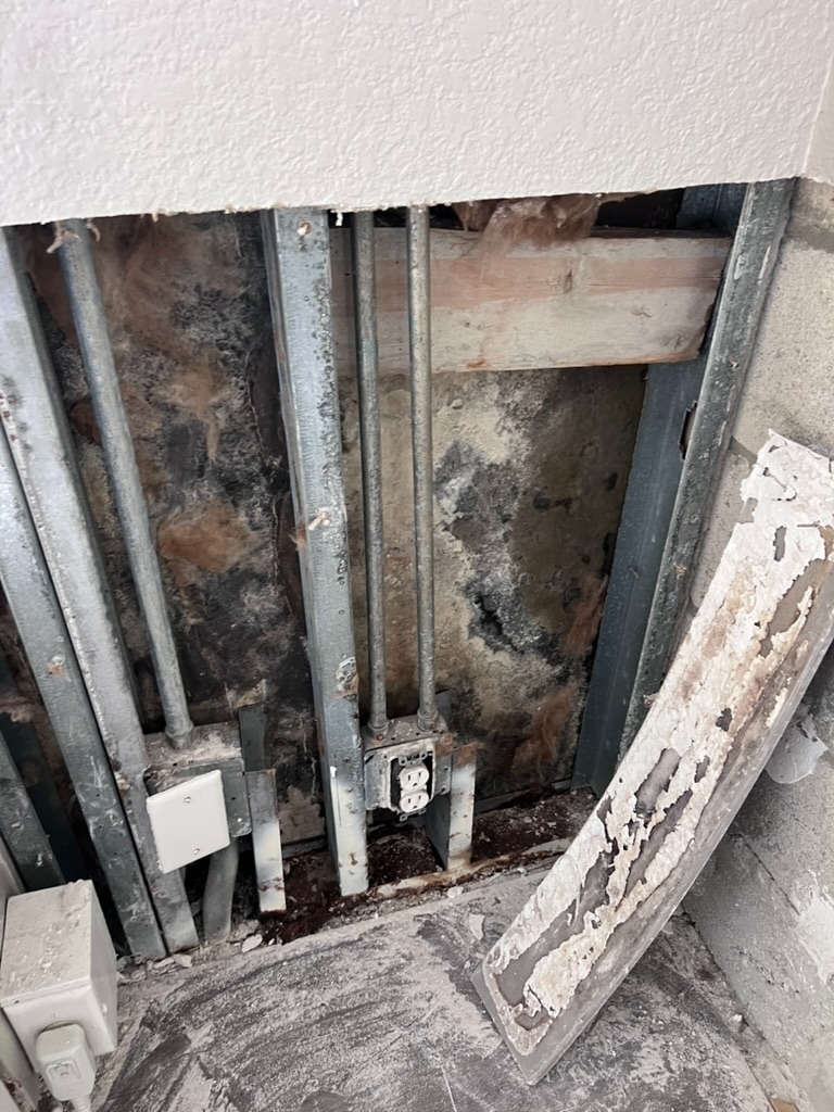 Wall cavity behind a hotel PTAC unit sleeve showing extensive mold growth on framing and insulation