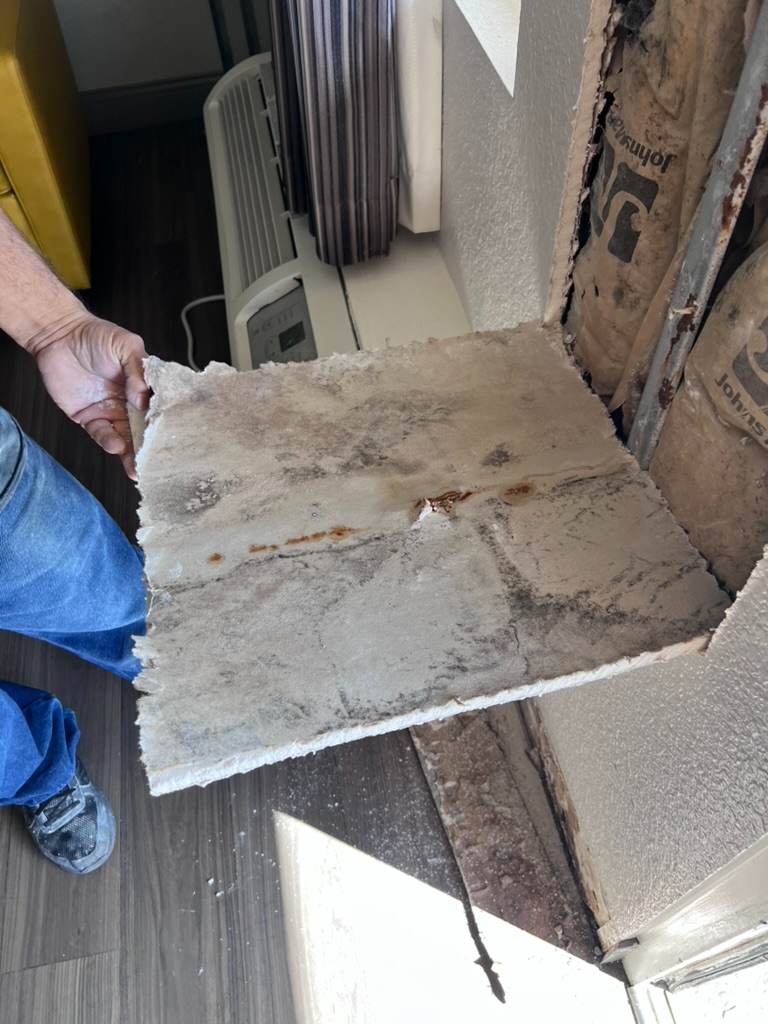 Technician holding a mold-contaminated wall panel removed from behind a PTAC unit