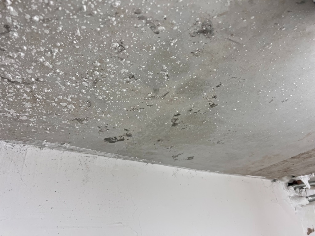 Visible suspected microbial growth and staining on the ceiling above a master bathroom shower